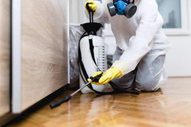 Best Mosquito Control Services  in Frankfort, IL