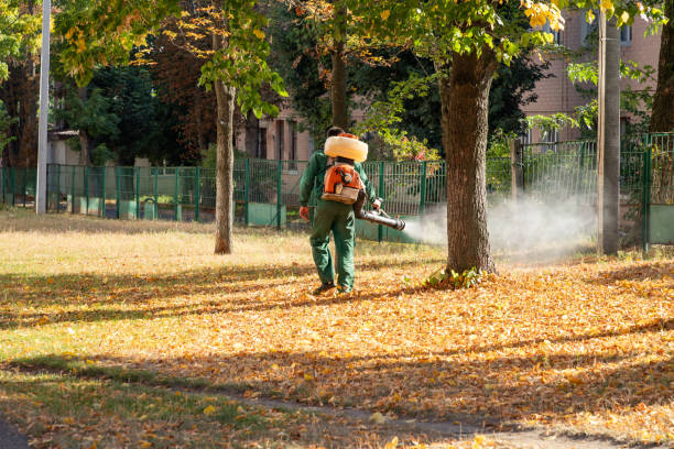 Best Pest Control Treatment  in Frankfort, IL