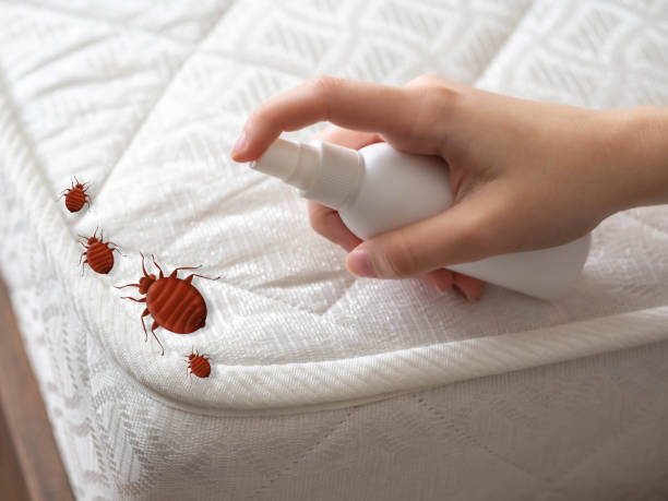 Best Emergency Pest Control  in Frankfort, IL