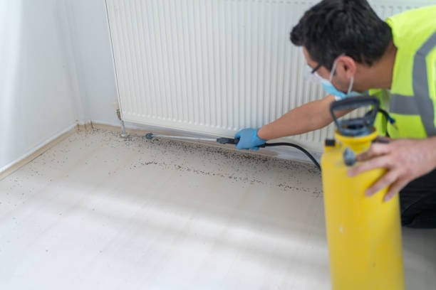 Best Affordable Pest Control Services  in Frankfort, IL